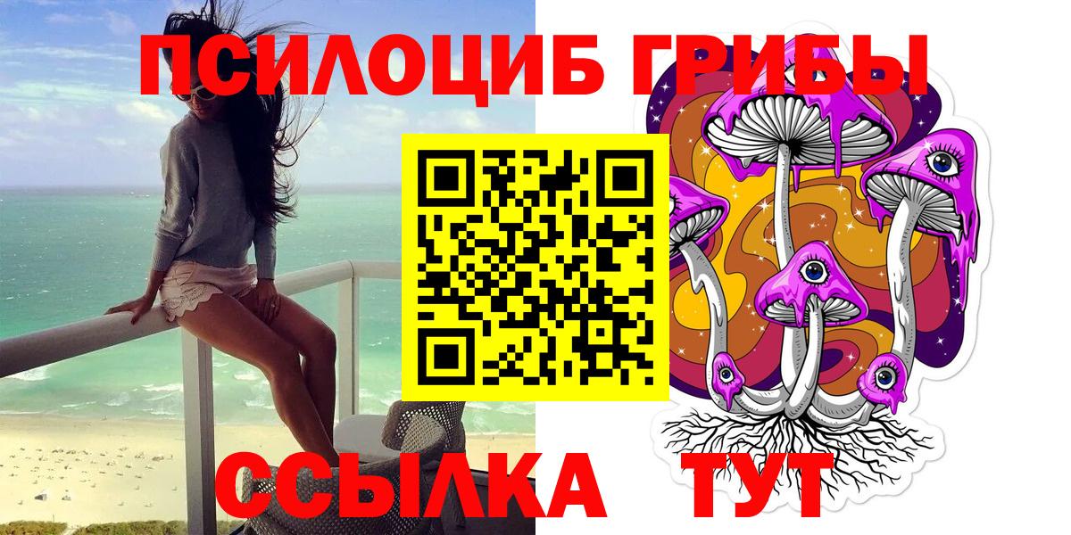 Псилоцибиновые грибы Cubensis Иваново