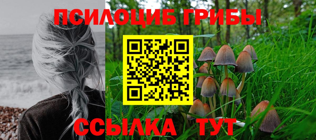 Псилоцибиновые грибы Magic Shrooms  Вход с VPN  Иваново  Галлюциногенные грибы Psilocybe 
